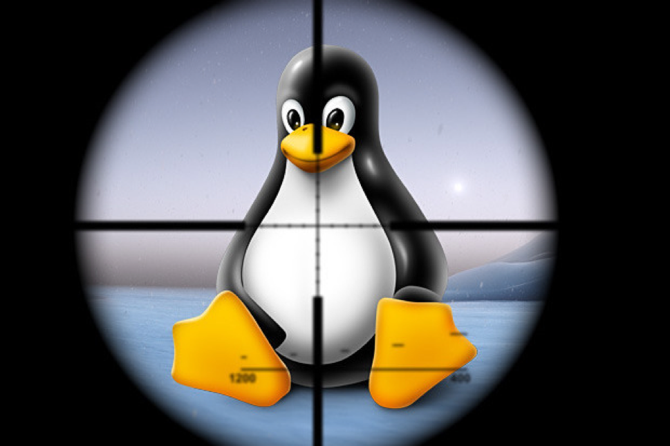 Linux Shishiga malware, a threat in dangerous evolution