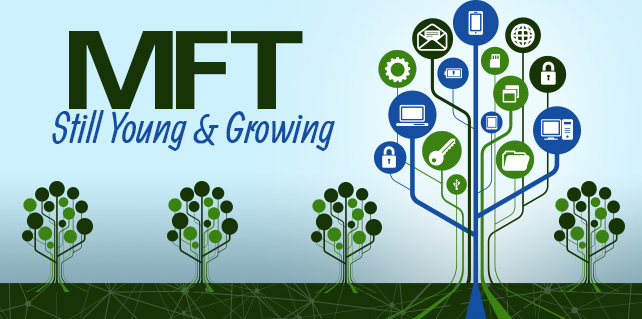 MFT: Still Young and Growing