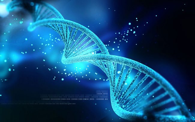 What is Genetic Malware Analysis?