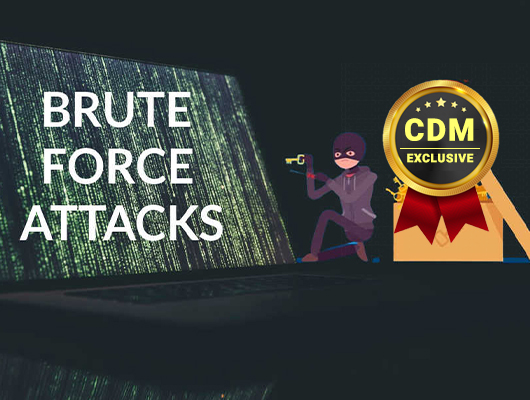 The Brutal Reality of Brute Force Attacks And How To Defend Against Them